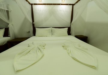 Accommodation