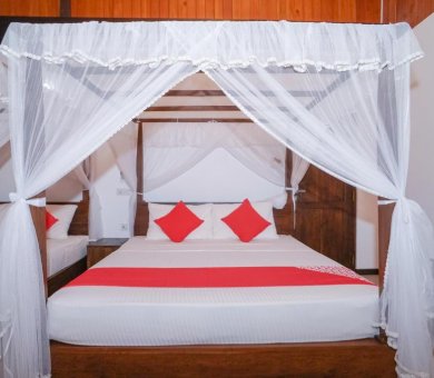 Deluxe King Suite 